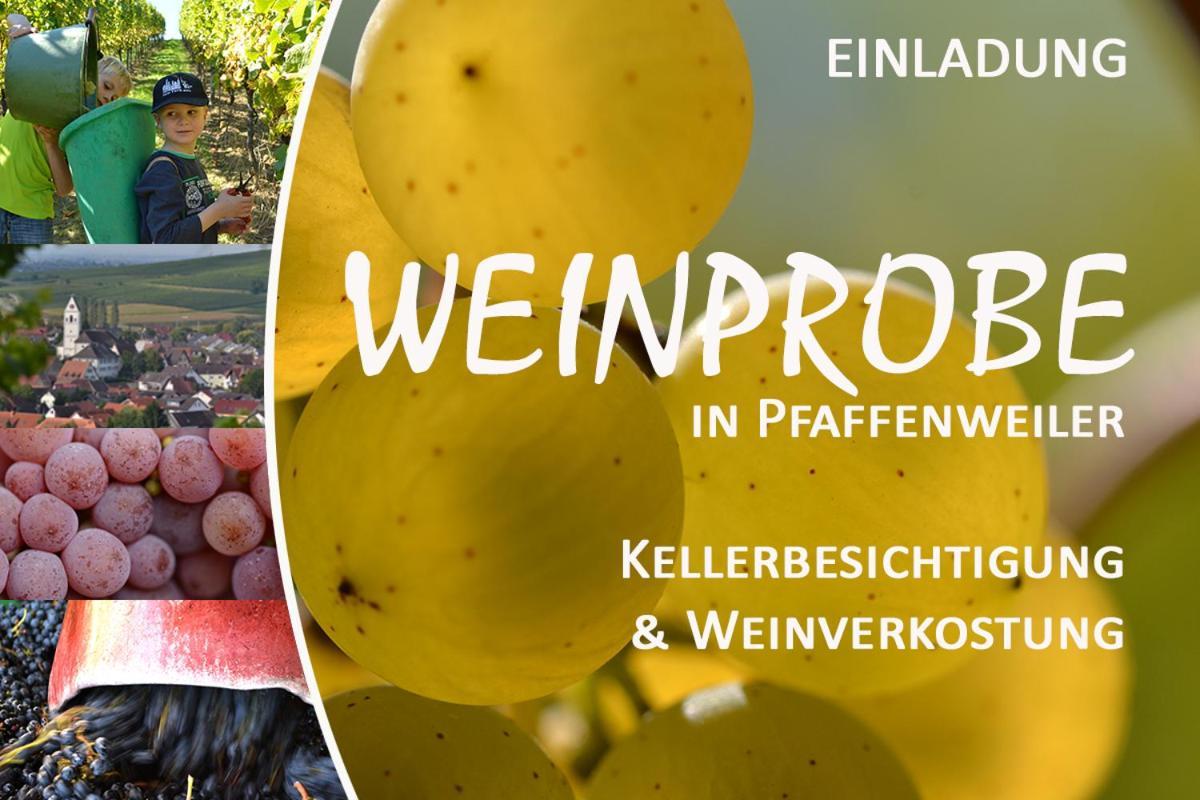 Apartmán Am Weinberg - Stilvoll, Ruhig, Zum Wohlfuehlen Pfaffenweiler Exteriér fotografie