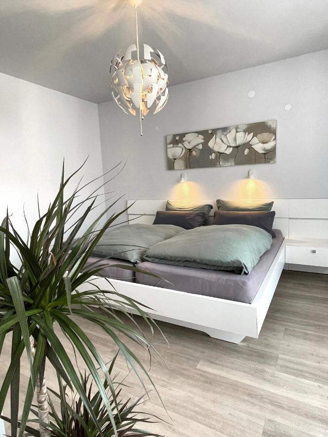 Apartmán Am Weinberg - Stilvoll, Ruhig, Zum Wohlfuehlen Pfaffenweiler Exteriér fotografie