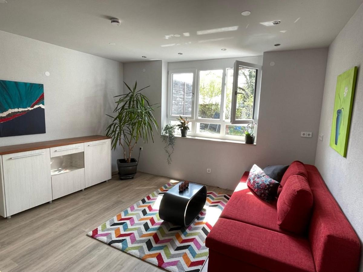 Apartmán Am Weinberg - Stilvoll, Ruhig, Zum Wohlfuehlen Pfaffenweiler Exteriér fotografie